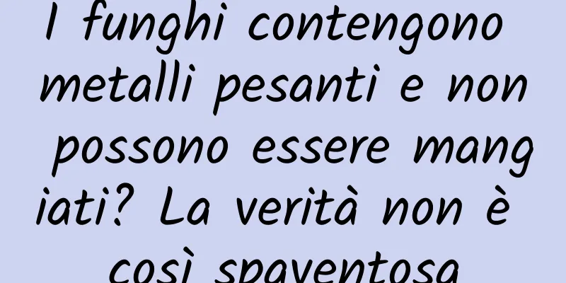 I funghi contengono metalli pesanti e non possono essere mangiati? La verità non è così spaventosa