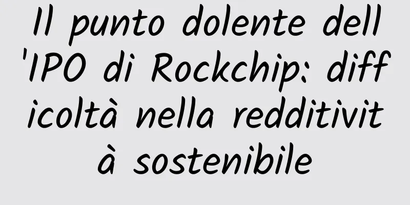 Il punto dolente dell'IPO di Rockchip: difficoltà nella redditività sostenibile