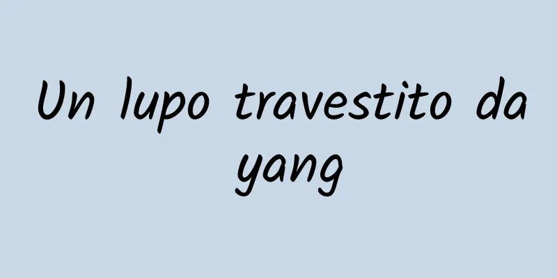 Un lupo travestito da yang