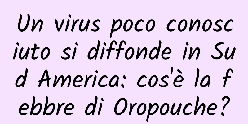 Un virus poco conosciuto si diffonde in Sud America: cos'è la febbre di Oropouche?