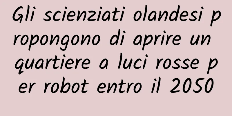 Gli scienziati olandesi propongono di aprire un quartiere a luci rosse per robot entro il 2050