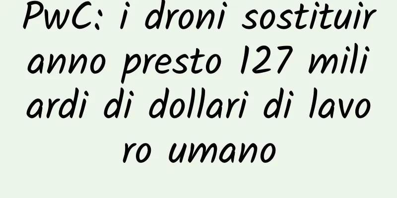 PwC: i droni sostituiranno presto 127 miliardi di dollari di lavoro umano