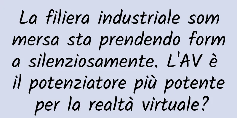 La filiera industriale sommersa sta prendendo forma silenziosamente. L'AV è il potenziatore più potente per la realtà virtuale?