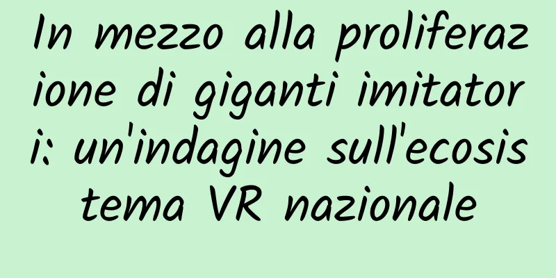 In mezzo alla proliferazione di giganti imitatori: un'indagine sull'ecosistema VR nazionale