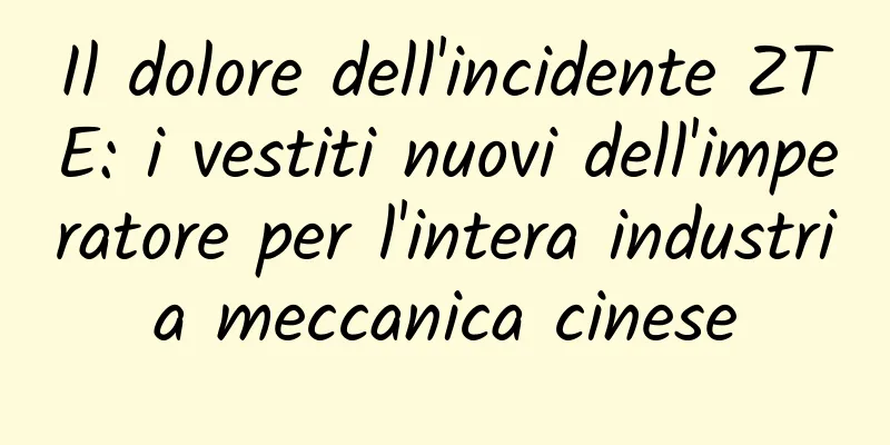 Il dolore dell'incidente ZTE: i vestiti nuovi dell'imperatore per l'intera industria meccanica cinese