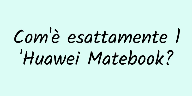 Com'è esattamente l'Huawei Matebook?