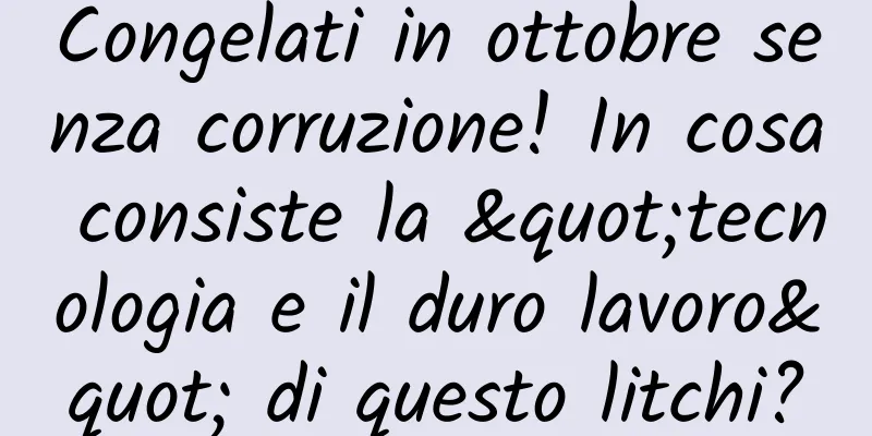 Congelati in ottobre senza corruzione! In cosa consiste la "tecnologia e il duro lavoro" di questo litchi?