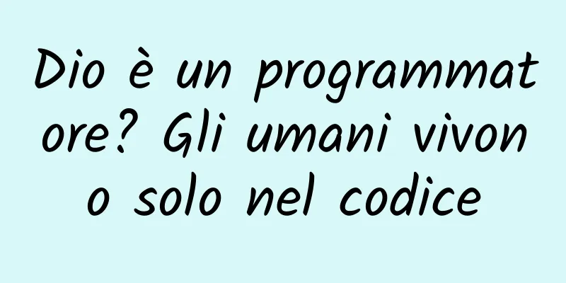 Dio è un programmatore? Gli umani vivono solo nel codice