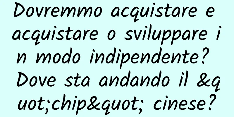 Dovremmo acquistare e acquistare o sviluppare in modo indipendente? Dove sta andando il "chip" cinese?