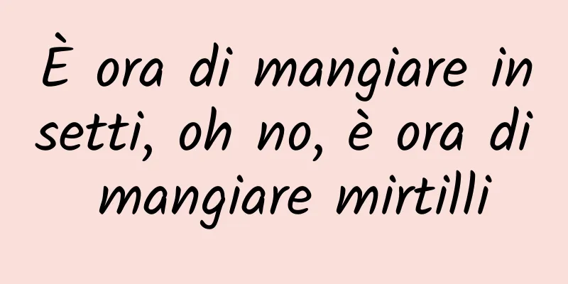 È ora di mangiare insetti, oh no, è ora di mangiare mirtilli