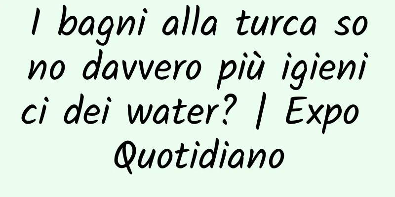 I bagni alla turca sono davvero più igienici dei water? | Expo Quotidiano