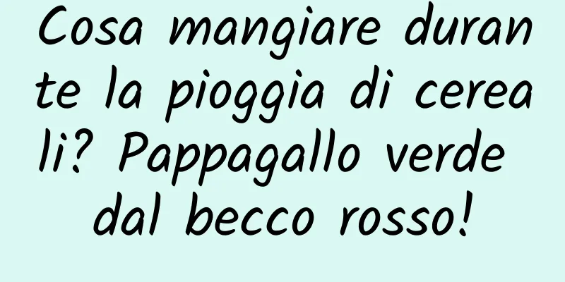 Cosa mangiare durante la pioggia di cereali? Pappagallo verde dal becco rosso!