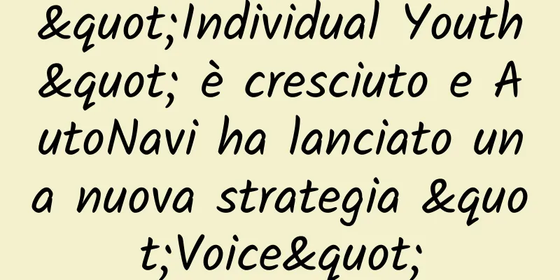 "Individual Youth" è cresciuto e AutoNavi ha lanciato una nuova strategia "Voice"