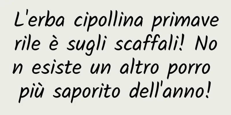L'erba cipollina primaverile è sugli scaffali! Non esiste un altro porro più saporito dell'anno!