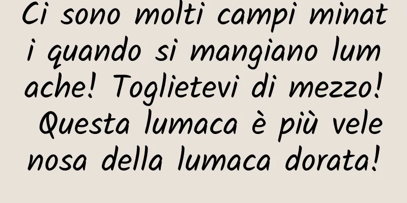 Ci sono molti campi minati quando si mangiano lumache! Toglietevi di mezzo! Questa lumaca è più velenosa della lumaca dorata!