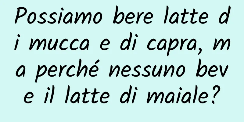 Possiamo bere latte di mucca e di capra, ma perché nessuno beve il latte di maiale?