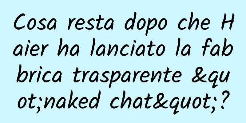 Cosa resta dopo che Haier ha lanciato la fabbrica trasparente "naked chat"?