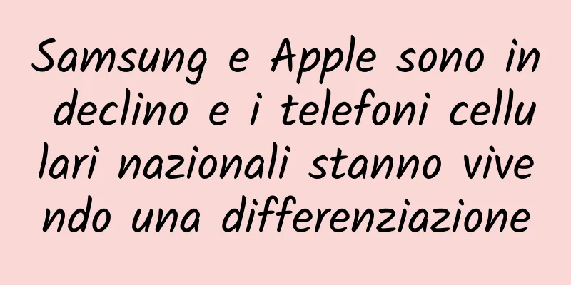 Samsung e Apple sono in declino e i telefoni cellulari nazionali stanno vivendo una differenziazione