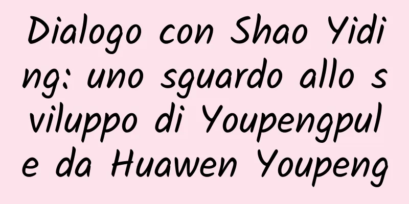 Dialogo con Shao Yiding: uno sguardo allo sviluppo di Youpengpule da Huawen Youpeng