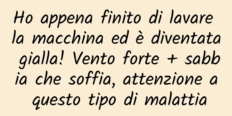 Ho appena finito di lavare la macchina ed è diventata gialla! Vento forte + sabbia che soffia, attenzione a questo tipo di malattia