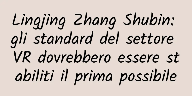 Lingjing Zhang Shubin: gli standard del settore VR dovrebbero essere stabiliti il ​​prima possibile