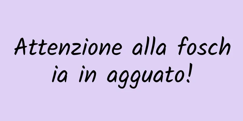 Attenzione alla foschia in agguato!