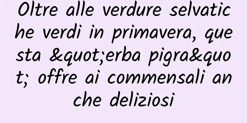 Oltre alle verdure selvatiche verdi in primavera, questa "erba pigra" offre ai commensali anche deliziosi