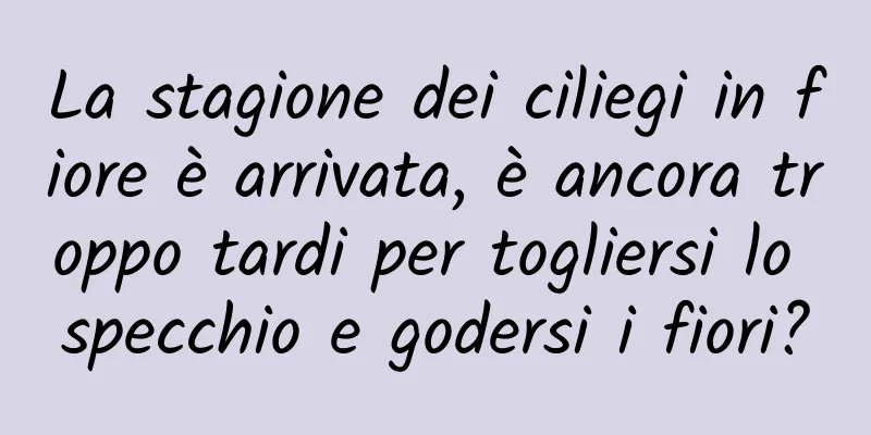 La stagione dei ciliegi in fiore è arrivata, è ancora troppo tardi per togliersi lo specchio e godersi i fiori?