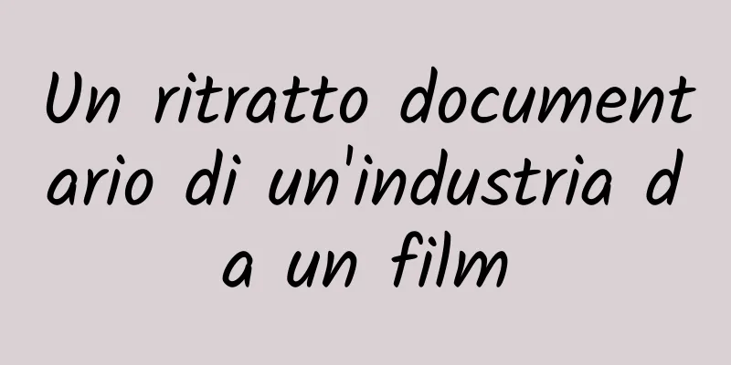 Un ritratto documentario di un'industria da un film