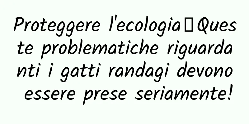 Proteggere l'ecologia丨Queste problematiche riguardanti i gatti randagi devono essere prese seriamente!