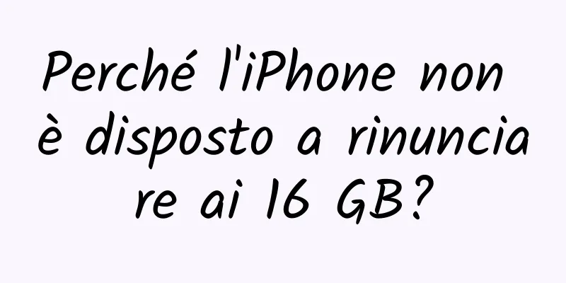 Perché l'iPhone non è disposto a rinunciare ai 16 GB?