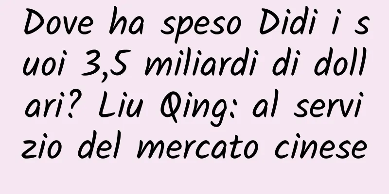 Dove ha speso Didi i suoi 3,5 miliardi di dollari? Liu Qing: al servizio del mercato cinese
