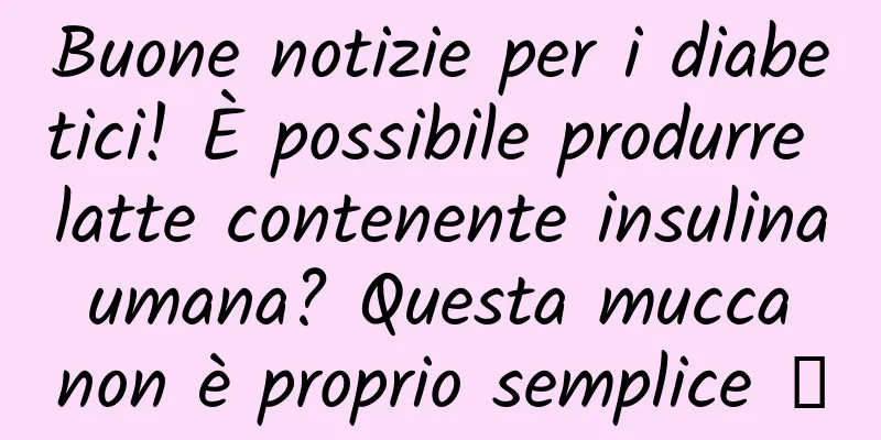 Buone notizie per i diabetici! È possibile produrre latte contenente insulina umana? Questa mucca non è proprio semplice →