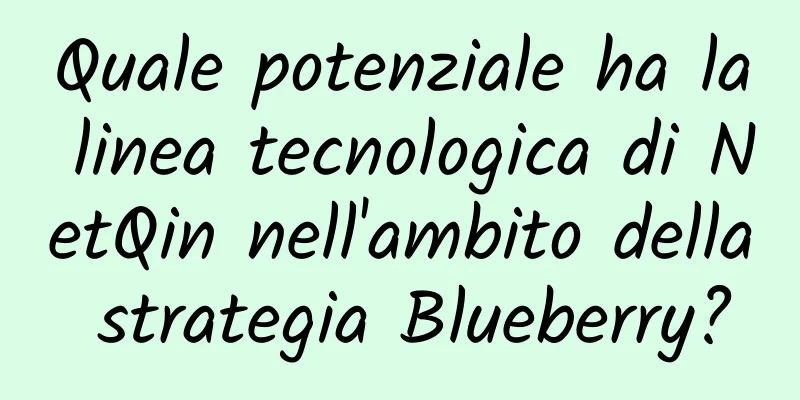 Quale potenziale ha la linea tecnologica di NetQin nell'ambito della strategia Blueberry?