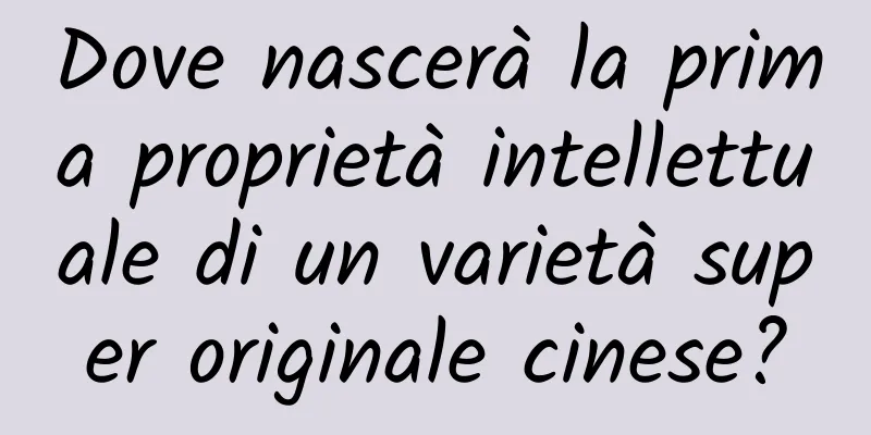 Dove nascerà la prima proprietà intellettuale di un varietà super originale cinese?