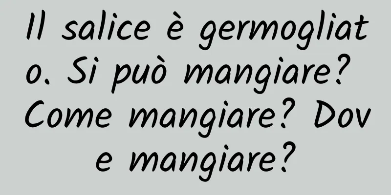 Il salice è germogliato. Si può mangiare? Come mangiare? Dove mangiare?