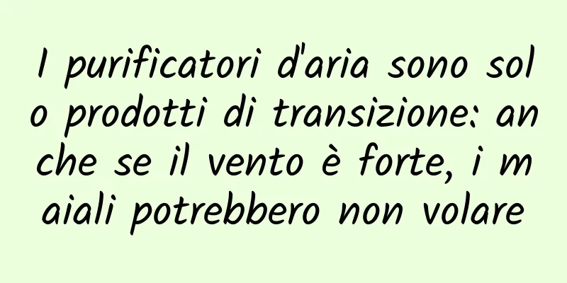 I purificatori d'aria sono solo prodotti di transizione: anche se il vento è forte, i maiali potrebbero non volare