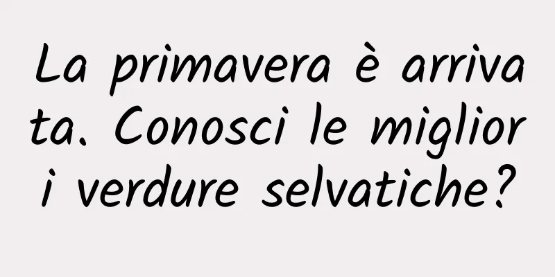 La primavera è arrivata. Conosci le migliori verdure selvatiche?