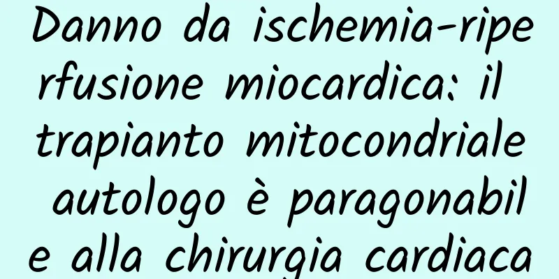 Danno da ischemia-riperfusione miocardica: il trapianto mitocondriale autologo è paragonabile alla chirurgia cardiaca