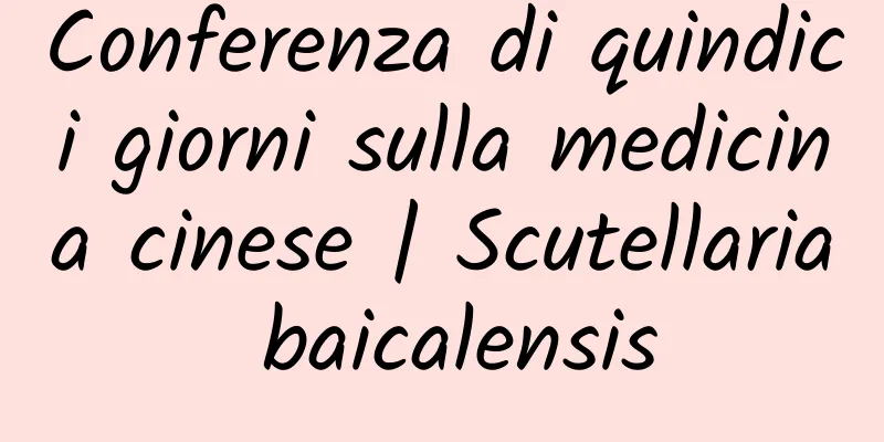 Conferenza di quindici giorni sulla medicina cinese | Scutellaria baicalensis
