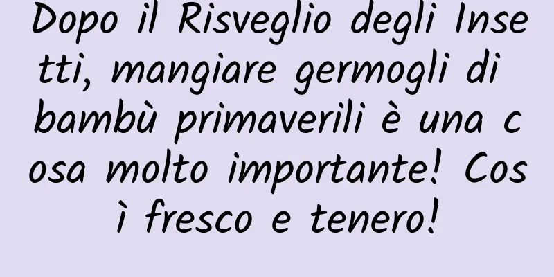 Dopo il Risveglio degli Insetti, mangiare germogli di bambù primaverili è una cosa molto importante! Così fresco e tenero!