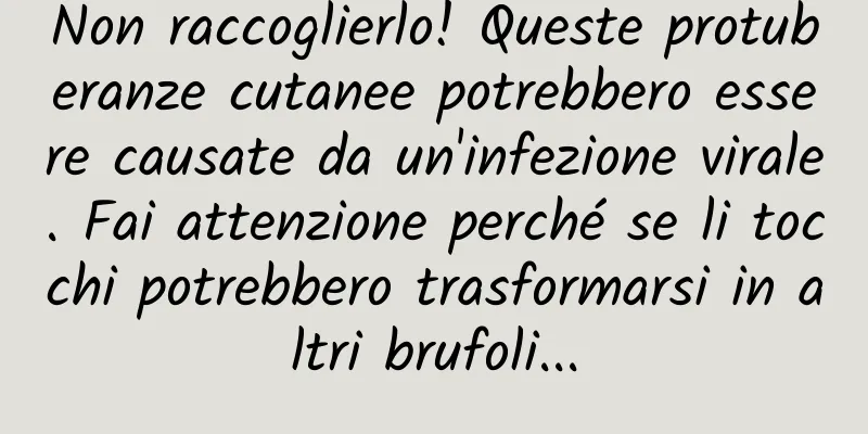 Non raccoglierlo! Queste protuberanze cutanee potrebbero essere causate da un'infezione virale. Fai attenzione perché se li tocchi potrebbero trasformarsi in altri brufoli...