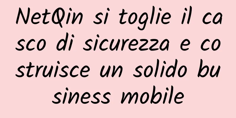 NetQin si toglie il casco di sicurezza e costruisce un solido business mobile
