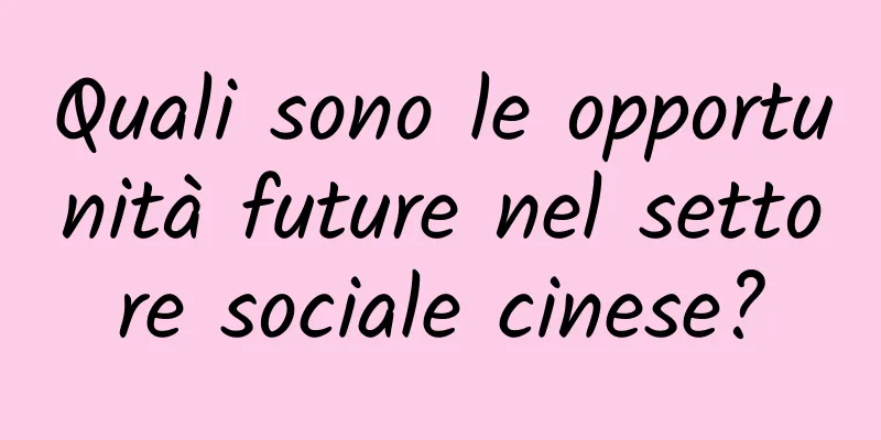 Quali sono le opportunità future nel settore sociale cinese?