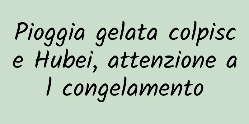 Pioggia gelata colpisce Hubei, attenzione al congelamento
