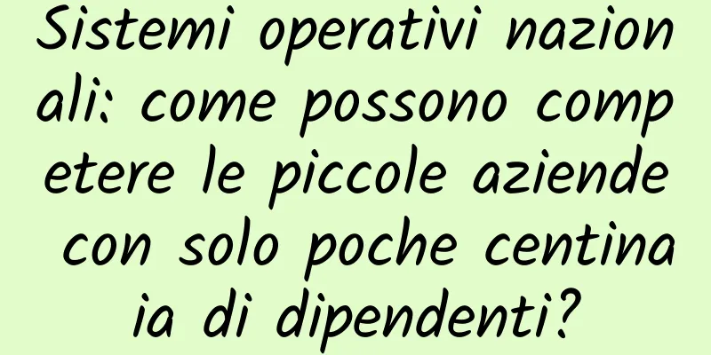 Sistemi operativi nazionali: come possono competere le piccole aziende con solo poche centinaia di dipendenti?
