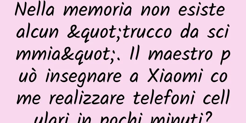 Nella memoria non esiste alcun "trucco da scimmia". Il maestro può insegnare a Xiaomi come realizzare telefoni cellulari in pochi minuti?