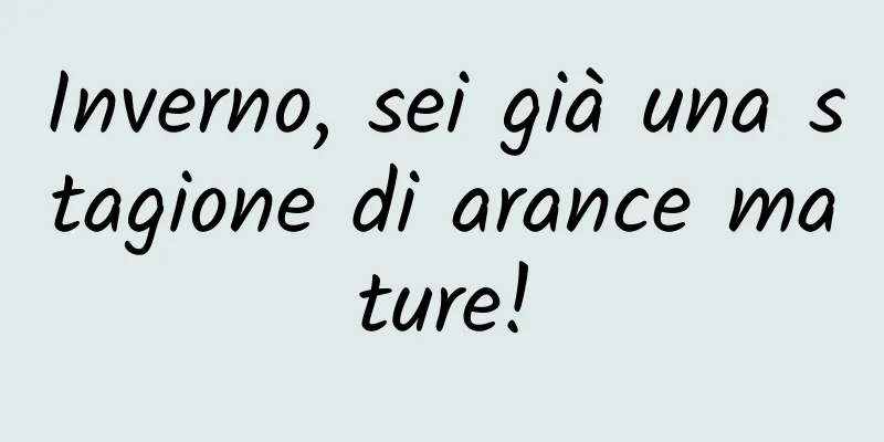 Inverno, sei già una stagione di arance mature!