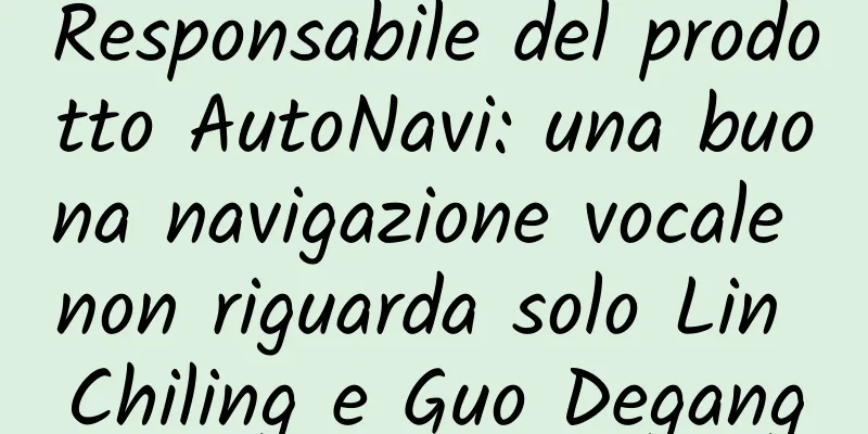 Responsabile del prodotto AutoNavi: una buona navigazione vocale non riguarda solo Lin Chiling e Guo Degang