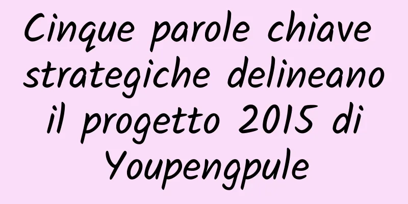 Cinque parole chiave strategiche delineano il progetto 2015 di Youpengpule